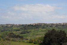 IMG_0669.jpg