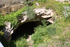 IMG_0672.jpg