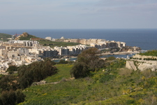 IMG_0703.jpg