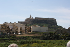 IMG_0009.jpg