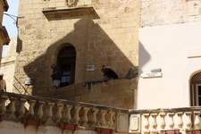 IMG_0068.jpg