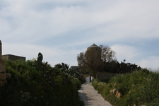 IMG_0123.jpg