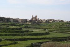 IMG_0129.jpg