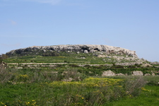 IMG_0142.jpg