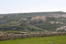 IMG_0147.jpg
