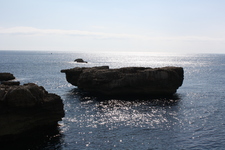 IMG_0182.jpg