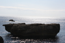 IMG_0185.jpg