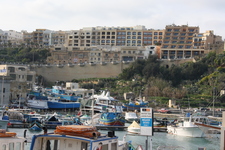IMG_0333.jpg
