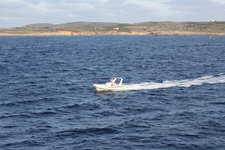 IMG_0336.jpg