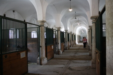 IMG_0072.jpg