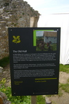 P1010936.jpg