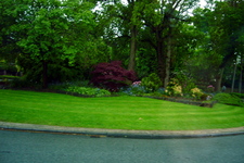 P1020070.jpg