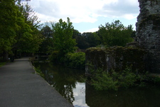 P1020488.jpg