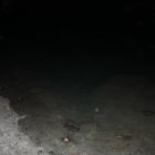thumbnails/069-IMG_0788.jpeg.small.jpeg