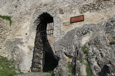 IMG_1278.jpg