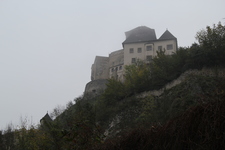 IMG_1353.jpg