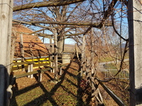 20161229_101218.jpg