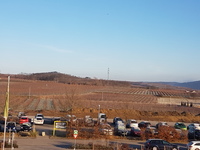 20161229_090029.jpg